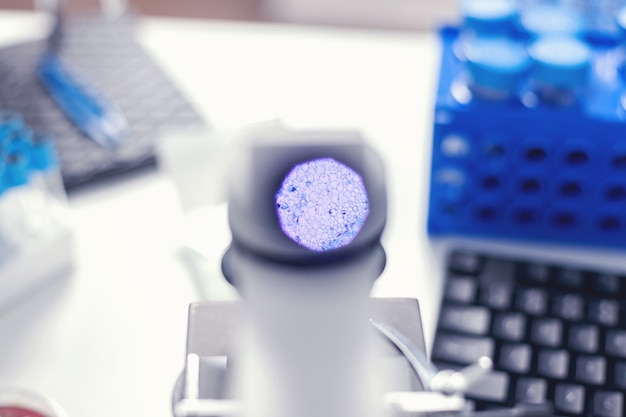 How Do Antibodies Revolutionize Modern Research?